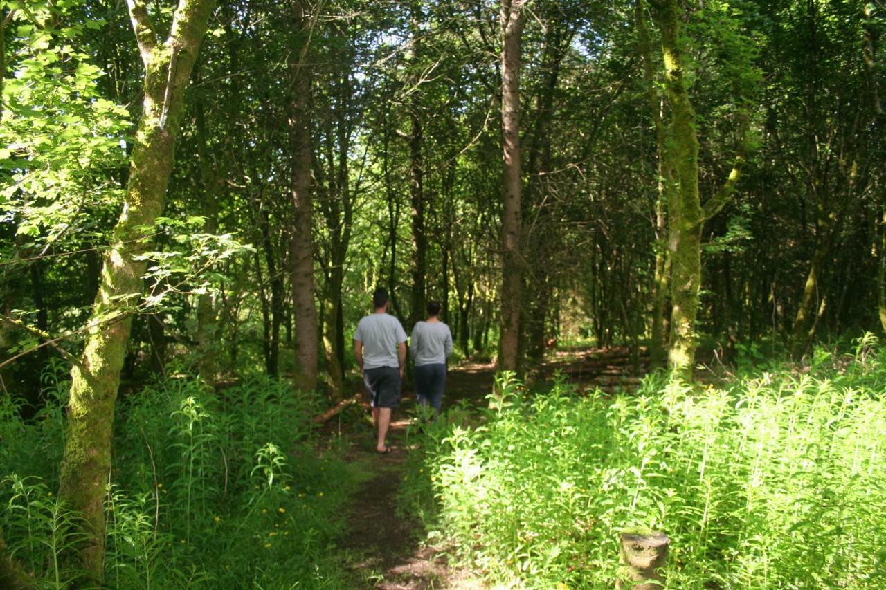 Larkhill Tipis And Yurts Carmarthen
